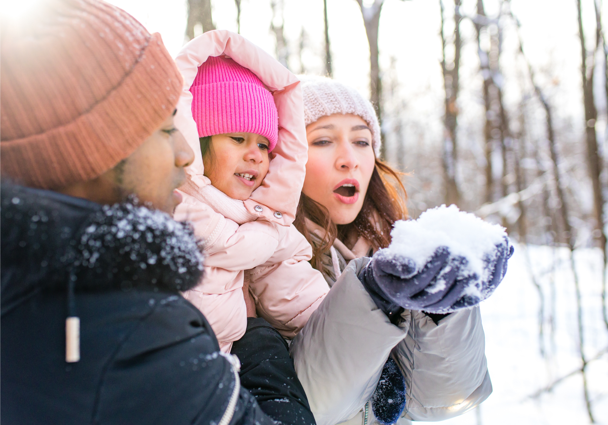 Credit Card Balance Transfer